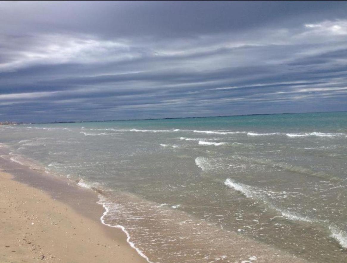 Studio Port Carnon المظهر الخارجي الصورة